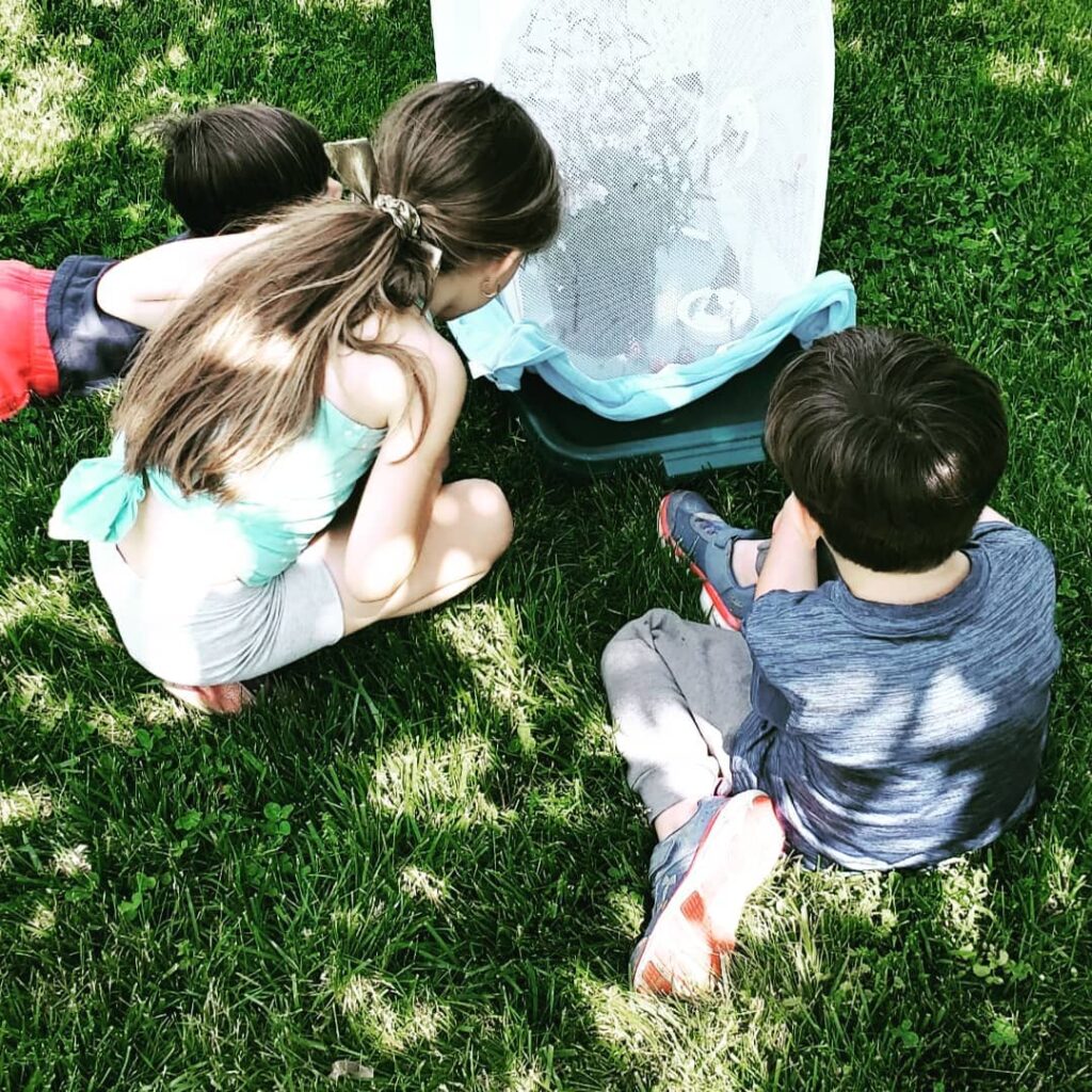 children sitting in grass with butterfly habitat