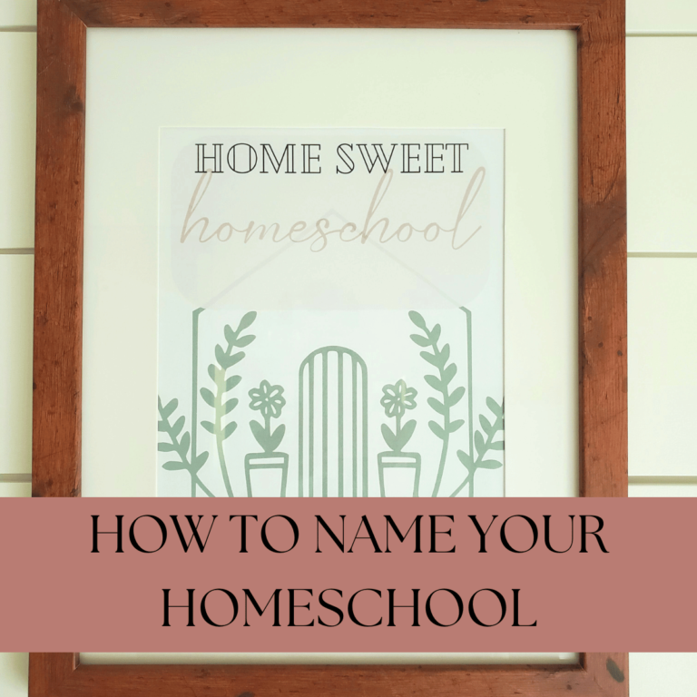 homeschool sign in wooden frame shiplap wall