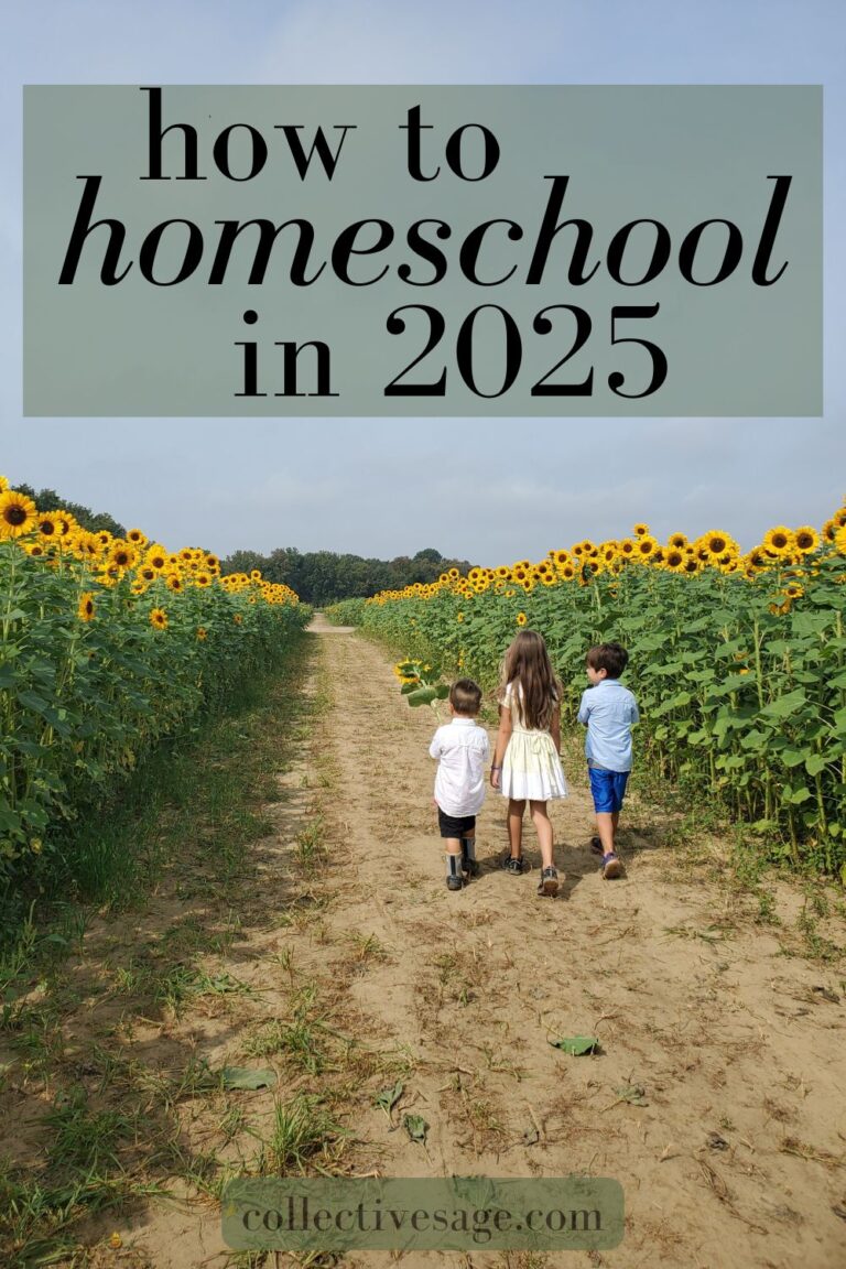 3 children walking along a path in sunflower field; homeschool journey