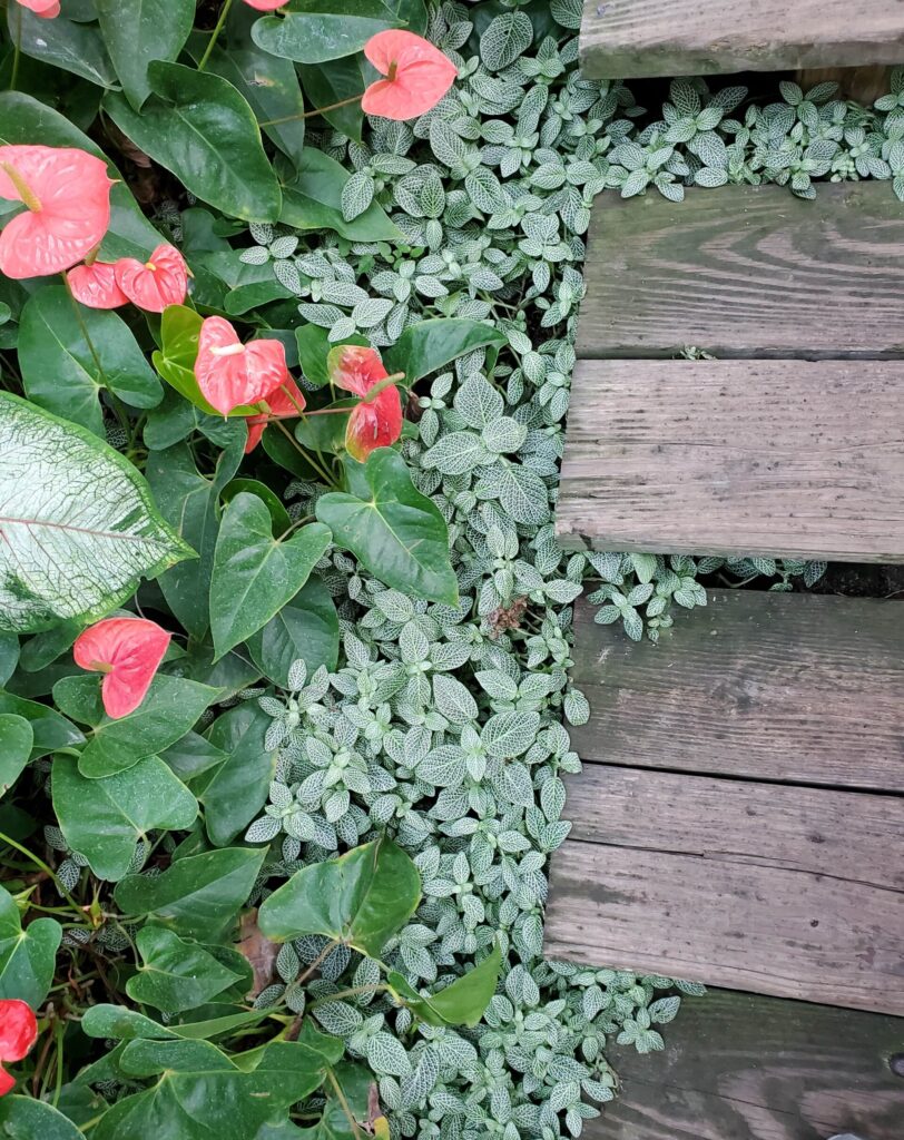 Wooden steps in a beautiful garden