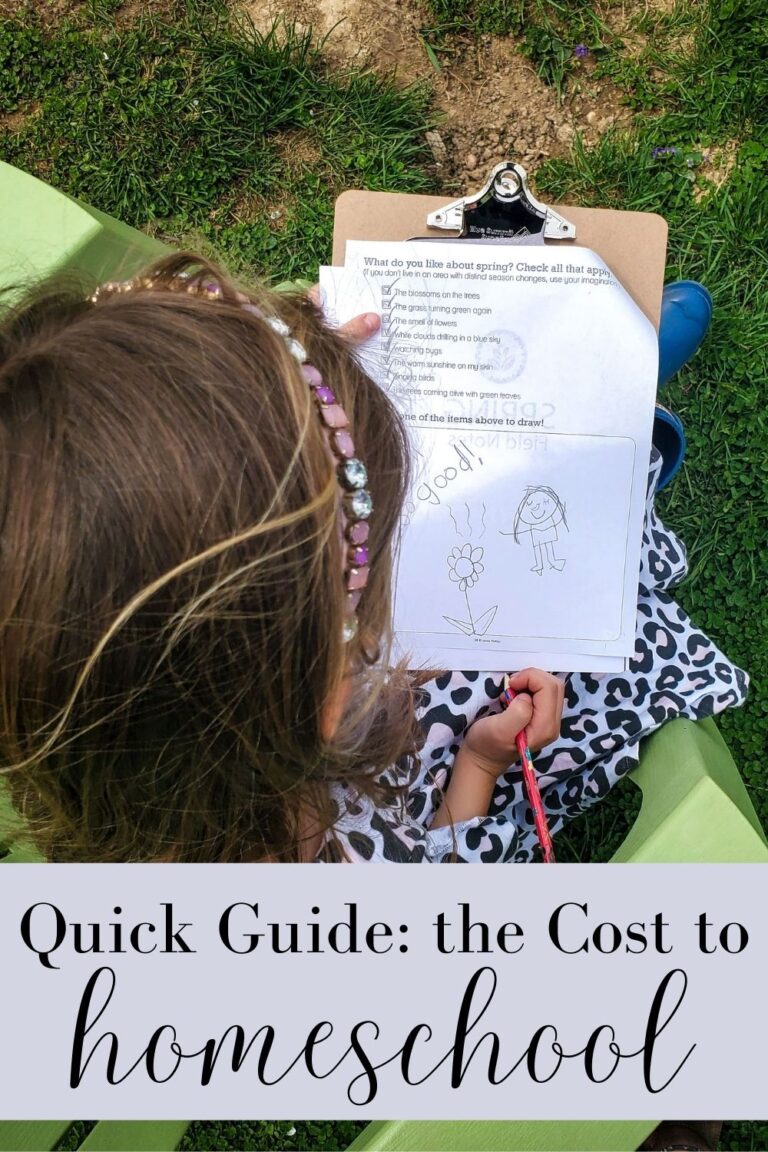 How much does homeschooling cost?