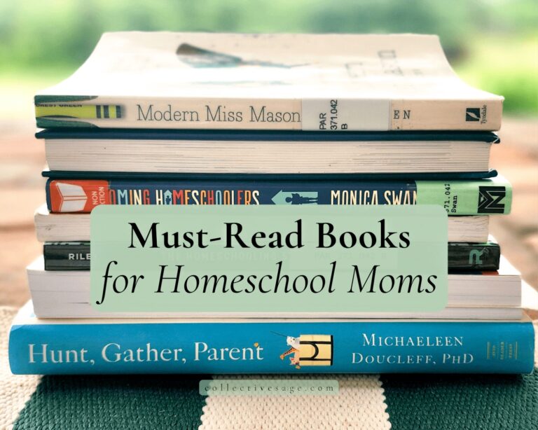 book for homeschool mom and dad